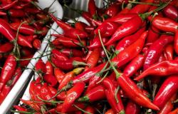 Harga Cabai Rawit Merah di Jatim Capai Rp75.000, Tulungagung Paling Murah Kedua