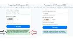 Cek NIK Kita! Pemerintah Salurkan BSU Rp600 Ribu untuk Pekerja Bergaji di Bawah Rp3,5 Juta
