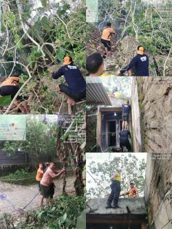 Diterjang Hujan Deras, Pohon Tumbang Rusak Atap Rumah Warga di Cikeusal-Serang