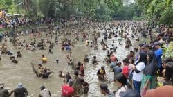 Keseruan Ratusan Warga Berburu Ikan Dalam Tradisi Grobyak Ikan