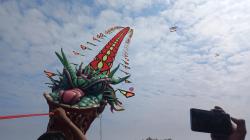 Festival Layang-Layang Nasional & Expo UMKM Di Purworejo, Magnet Baru Wisata dan Ekonomi
