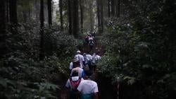 293 Pelari Ramaikan D’Las Trail Run 2025, Kolaborasi Olahraga dan Wisata Alam di Kaki Gunung Slamet
