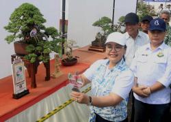 Semarang Bonsai Festival 2025 Tampilkan Kelas Tematik On The Rock