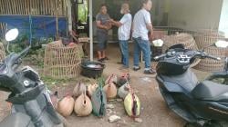 Pelaku Utama Sabung Ayam di Meteseh Boja Diburu, Polisi Amankan 10 orang