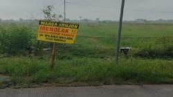 Warga Krujon Tolak Pabrik PT Kwong Cheung, Nilai Ancam Lingkungan & Sawah Produktif