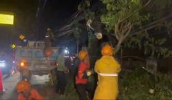 Truk Tabrak Tiang Listrik di Serang, Lalu Lintas Macet 2 Kilometer
