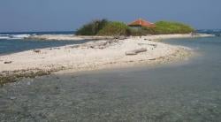 Bikin Kangen Kampung Halaman, ini Suasana 5 Desa di Indramayu yang Punya Pemandangan Cantik