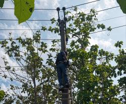 PLN Icon Plus Tertibkan Jaringan Fiber Optik di Wonogiri