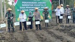 Menanam Harapan di Tengah Hutan: Langkah Nyata Polda DIY Dukung Ketahanan Pangan