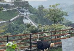Liburan Seru Bareng Keluarga! Ini 5 Tempat Wisata Keluarga Terfavorit di Cianjur
