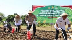 Polres Sragen Tanam Jagung di Lahan 21 Hektar, Dukung Swasembada Pangan Nasional