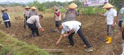 Polres Purworejo dan Pemdes Wonoroto Tanam Jagung di Tengah Kemarau