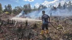 Lahan Gambut 0,35 Hektare Terbakar di Bukit Batu Palangka Raya, Petugas Terkendala Akses Jalan
