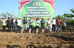 Dukung Ketahanan Pangan Nasional, Agustina Bakal Optimalkan Lahan Tidur untuk Ditanami Jagung