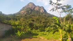 Penampakan Gunung Jimat di Musim Kemarau: Gersang Namun Tetap Menawan!
