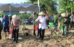 Bojonegoro Dukung Program Nasional, Tanam Jagung Serentak untuk Swasembada Pangan 2025