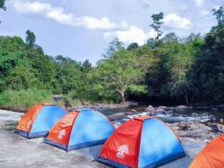 Dongkrak Wisatwaan Mancanegara, Bupati Lamandau Cek Tempat Wisata Ekosotik di Kecamatan Delang