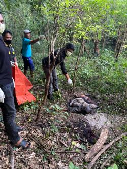 Geger! Mayat Tanpa Identitas Ditemukan di Bukit Desa Suci, Manyar
