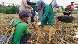 Mahasiswa Polbangtan Gowa Tunjukkan Aksi Nyata Lawan Rabies di Bone