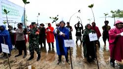 Kilang Kasim Tanam 1.000 Pohon Mangrove di Pantai Wawenagu, Tegaskan Aksi Nyata Lindungi Lingkungan