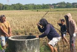 Kompak, Anggota TNI Dan Petani Kejar Tikus di Sawah Tambahrejo, Wirosari Jelang  Musim Tanam