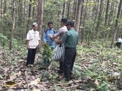 Sambangi Warga Dan Bagikan Nasi Bungkus, Cara Humanis KPH Gundih Cegah Pencurian Kayu dan Karhutla