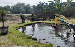 Banyak Ditemukan Kondom, Kolam Tempat Kumpul Gay di Mojokerto Dipasang CCTV