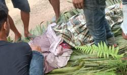 Mayat Petani Ditemukan di Kebun Sawit Mamuju Tengah, Warga Geger