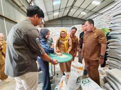 Kabar Baik, 209 Ribu Warga Indramayu Akan Terima Bantuan Beras dari Pemerintah