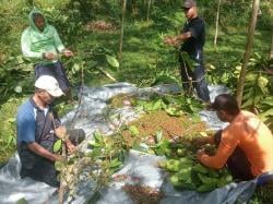 Panen Kopi 115 Kilogram, Bukti Nyata Pembinaan Warga Binaan di Kendal