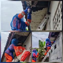Damkar Palangka Raya Evakuasi Sarang Tawon Vespa Berbahaya,Warga Diimbau Waspada