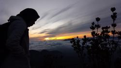 Menikmati Keindahan Lautan Awan di Puncak Gunung Burni Telong, Suasana Pagi di Bener Meriah Aceh