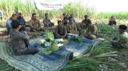 Jelang Panen, Petani dan Perhutani KPH Gundih Gelar Tradisi Wiwitan di Grobogan