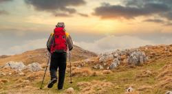 Rekomendasi Jalur Trekking Terbaik di Bogor yang Indah dan Nyaman