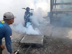 Terima Laporan DBD, Dinkes Kabupaten Probolinggo Mulai Fogging Wilayah Terdampak