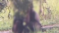 Viral Sepasang Pelajar Mesum di Taman Sutet Bogor, Ini Link Videonya!