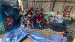 Dari Limbah, Pemuda di Tuban Sulap Limbah Siwalan Jadi Briket, Raup Cuan Puluhan Juta Perbulan
