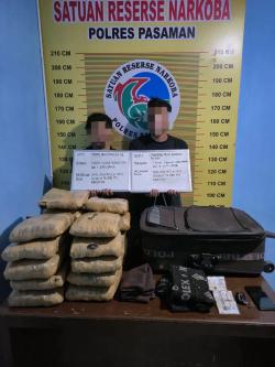 Satresnarkoba Pasaman Gagalkan Penyelundupan 21 Paket Ganja, Dua Tersangka Dibekuk