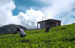 Komitmen Regeneratif Industri Perhotelan Dorong Pariwisata Berkelanjutan di Indonesia