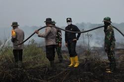 20 Hektare Lahan  di Rohil Terbakar, Tim Gabungan Berjibaku Padamkan Api