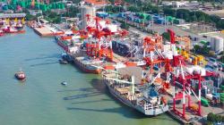 Surabaya Alami Peningkatan Arus Petikemas, TPK Nilam Jadi Kontributor Utama