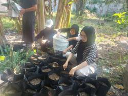Cantik Tak Takut Kotor, Mahasiswi KKN Undip Olah Kotoran Ternak di Grobogan
