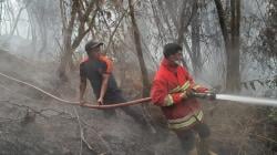 Api Mengganas di Perbukitan Taput-Humbahas: Puluhan Hektar Lahan Hutan Dilalap Si Jago Merah