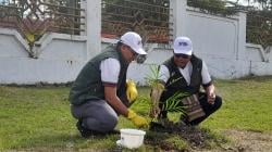 Aksi Nyata di Lapangan Oemanu, 100 Cemara India Ditanam Sebelum Cross Border