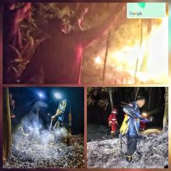 Tim Gabungan Dalkarhutla Padamkan Kebakaran Lahan Hampir 1 Hektare di Pulang Pisau
