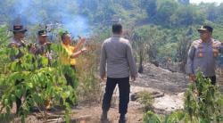 Karhutla Terjadi di Perbatasan Riau - Sumbar, 2 Hektare Terbakar