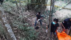Pelaku Pembacokan di Pagerageung Tasikmalaya Ditemukan Tewas di Kebun