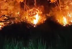 ODGJ Diduga Main Api, Lahan 2 Hektare di Cidahu Terbakar