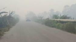 Kabut Asap Karhutla Semakin Tebal di Rohil, Beberapa Warga Mengungsi