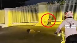Viral Video Dugaan Mesum di Stadion Pakansari Bogor, Satpol PP Sebut Hoax dan Konten Semata
